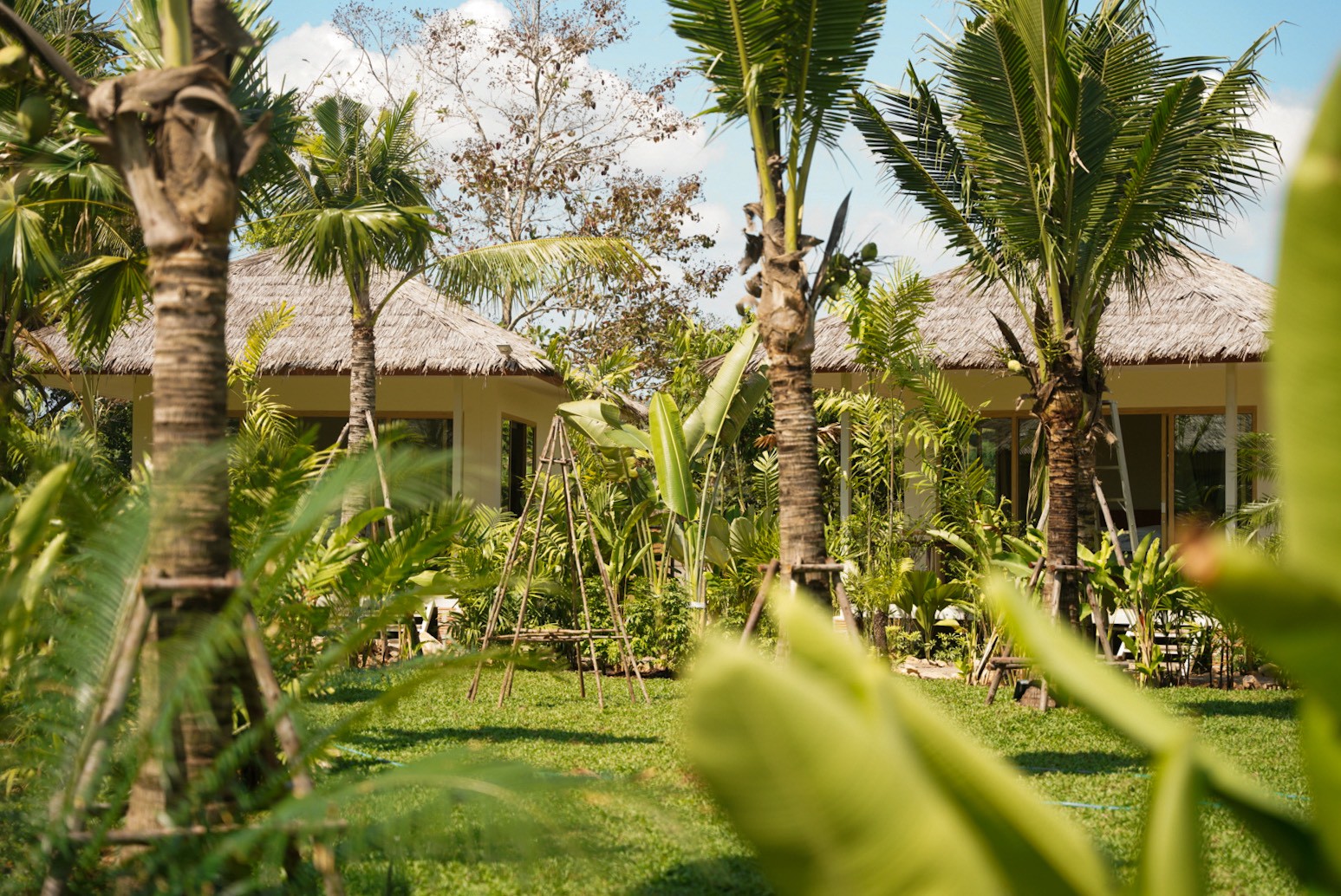 Grounds