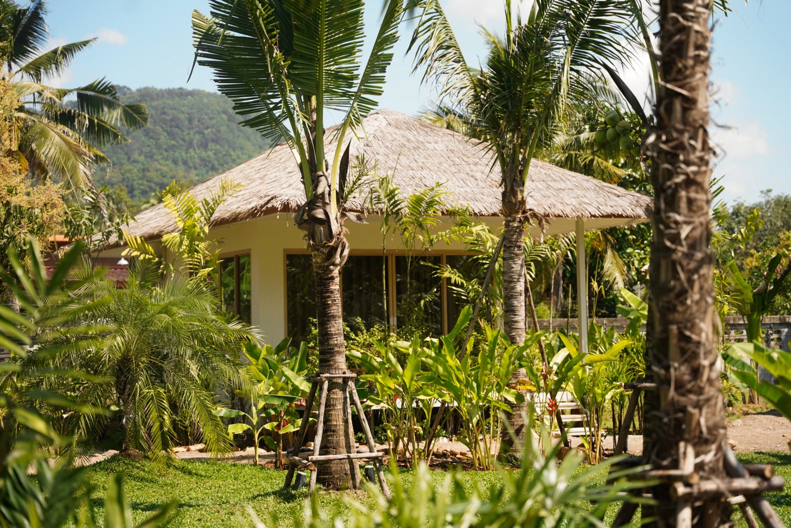Lush greenery