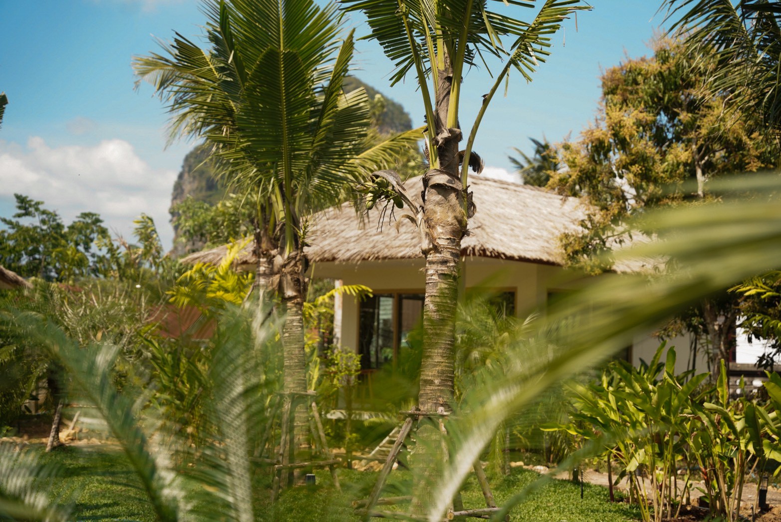 Garden view