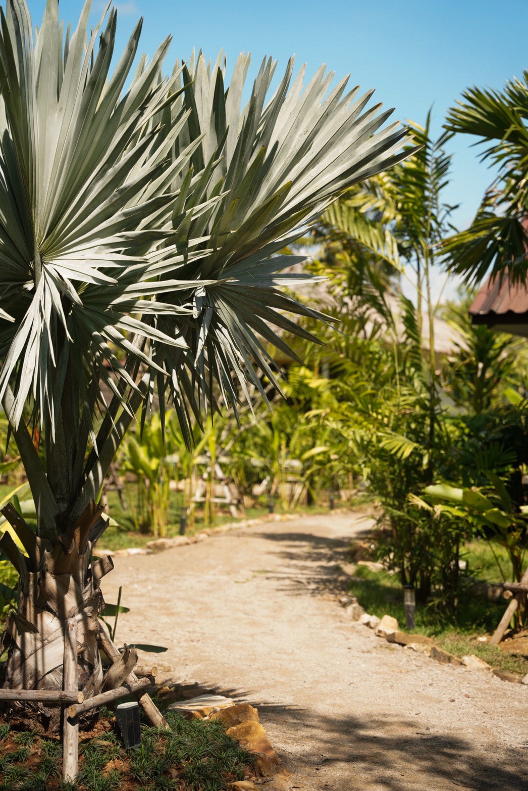 Garden path