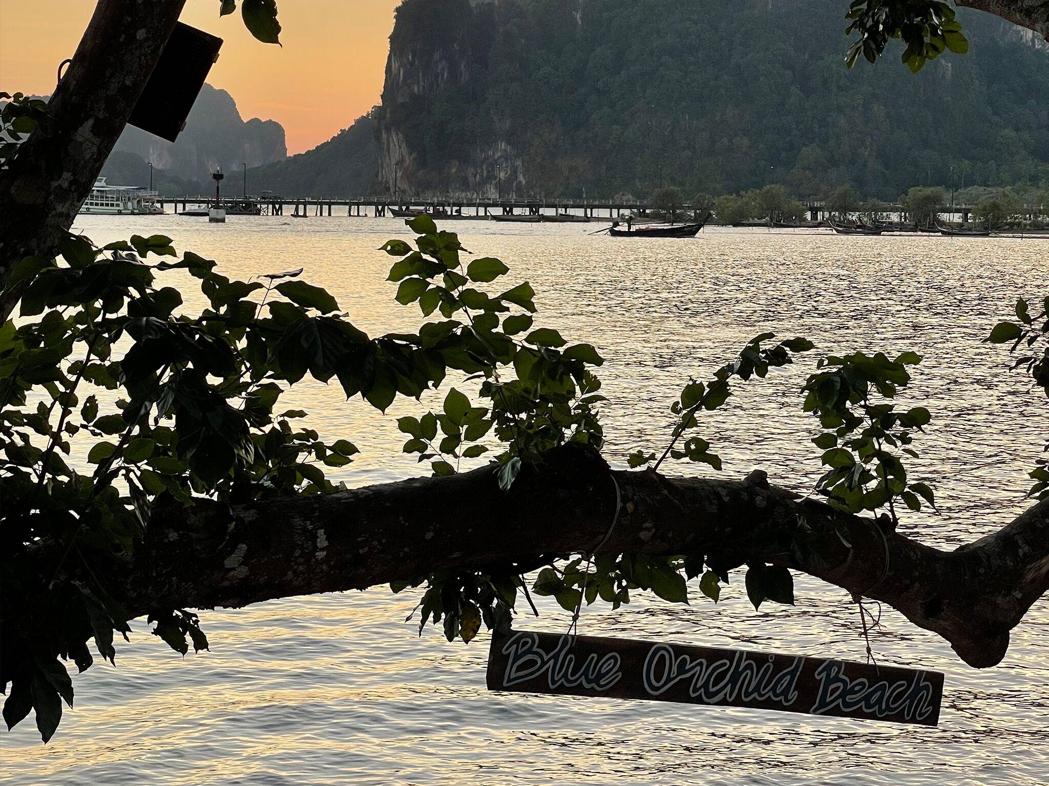 The hanging Blue Orchid Beach sign at sunset