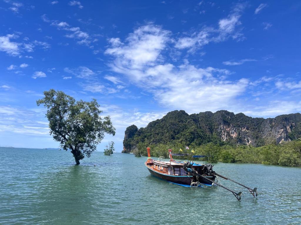 Longtail boat beneath the limestone cliffs